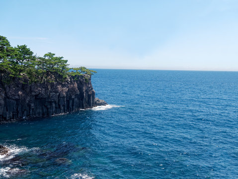 View of wild rocky cliffs with columnar joints and pine trees, transparent water of the pacific ocean and horizon in Jogasaki coast, Izu, Japan.