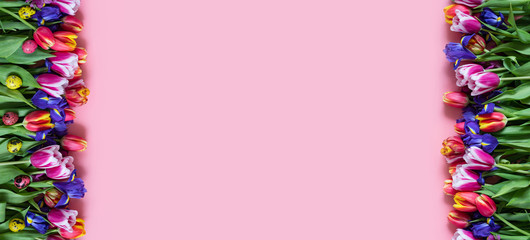 Easter border with spring flowers and colorful quail eggs on a pink background. Banner. Copy space, top view.