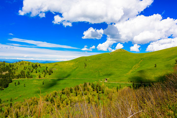 Beautiful mountain panorama with lush greens, blue skies, and puffy clouds