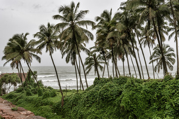 Fototapeta na wymiar Beautiful beach. Palm trees in the monsun rain. Rain season. Goa off season. Aguada Fort - North Goa, India.