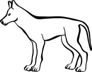 Dog icon. Black illustration of animal silhouette 