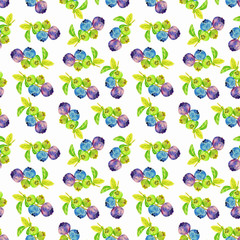 blueberry pattern-1