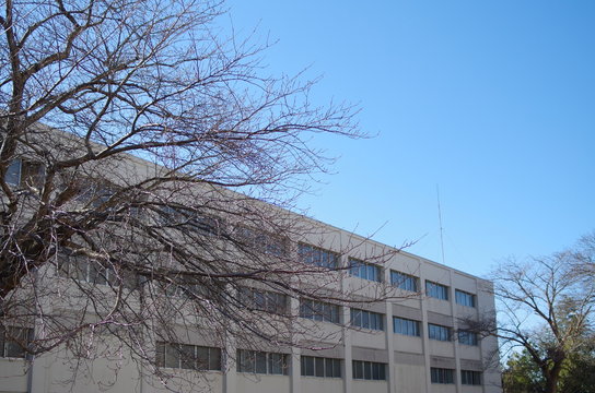 白いビルと青空