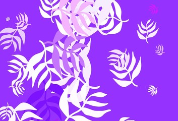 Fototapeta na wymiar Light Purple, Pink vector elegant wallpaper with leaves.