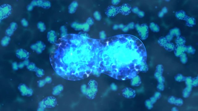 Multiple Mitosis Process of Cells happening in Dark Space 