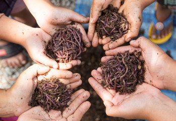 Child hands holding Fertile soil