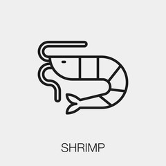 shrimp icon vector sign symbol
