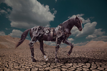 Horse robot into the wild