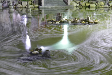 夜桜 岐阜公園 日中友好庭園