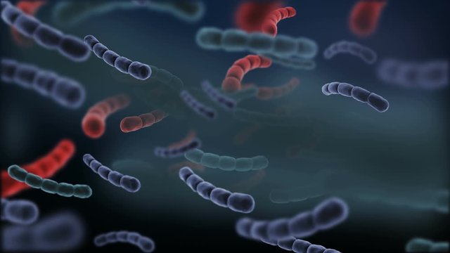 Antibiotic resistant bacteria illness infection and inflammation - 3D Animation Render