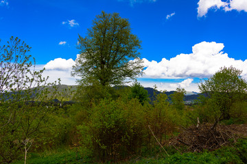 Beautiful mountain panorama with lush greens, blue skies, and puffy clouds