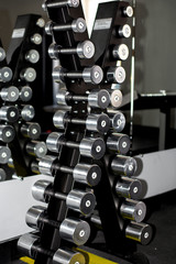 ten pairs of iron dumbbells in the gym