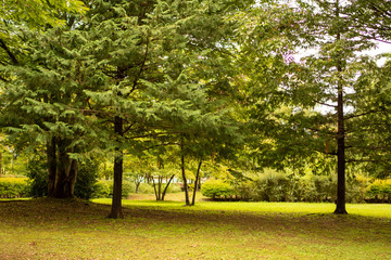 Obraz premium 公園