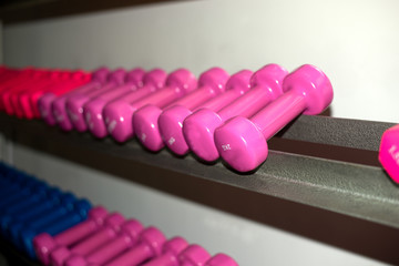 multi-colored dumbbells for women's fitness