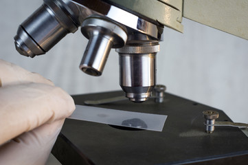 Female researcher using her microscope in a laboratory
