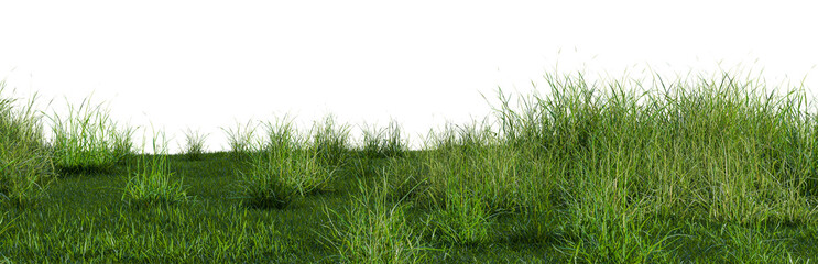 3D illustration of bush lush on green grass field