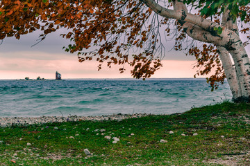 Looking under a birch tree at Round Island Lighthouse from Mackinac Island