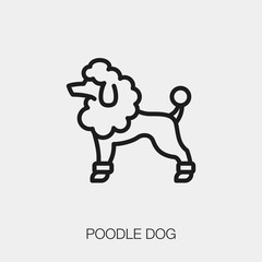 poodle dog icon vector sign symbol