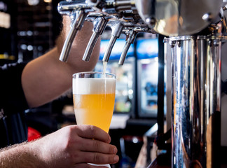 Bartender pouring draft beer at glasses in the bar. Restaurant.
