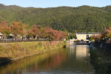 Fototapeta na wymiar 京都　琵琶疏水