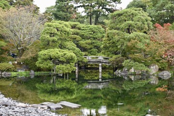 Fototapeta na wymiar 京都御所の日本庭園