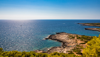 Fototapeta na wymiar The wonderful bay of Porto Selvaggio. In Nardò, Italy, Puglia, Salento. The view of the panorama from the top of the promontory. The pine forest, the Mediterranean scrub. The blue sea to the horizon.