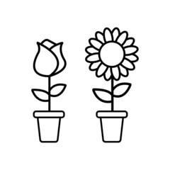 sunflower and Rose in a pot icon line