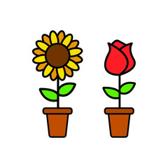sunflower and Rose in a pot Illustration