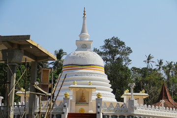 The buddhist temple