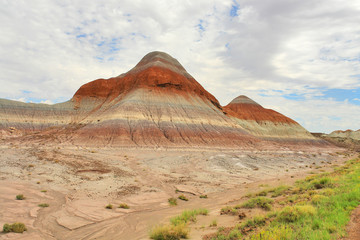 Petrified Forest National Park  in  Arizona named for its large deposits of petrified wood
