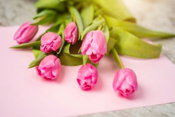 Obraz na płótnie Canvas Spring flower pink tulips