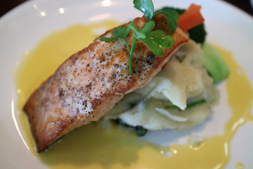 Salmon Food