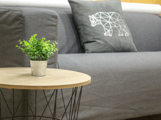 Sofa and pillow with cushion and side table with flower pot