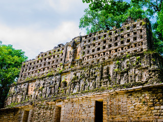 Yaxchilan ancient mayan ruins, stunning view of King Palace surrounded by the lush rainforest of...