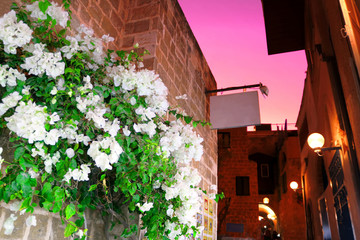 White flowers, street lamp and view of the street of stone old city Jaffa in Tel Aviv, Israel