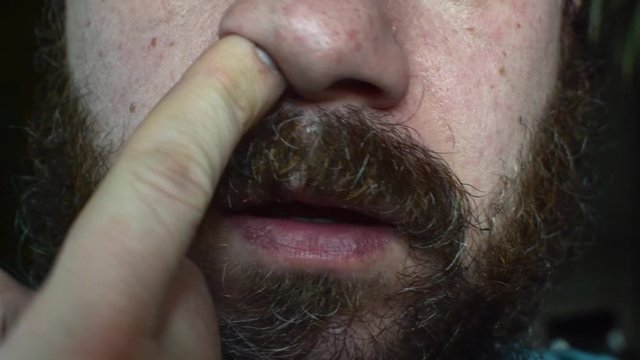 A bearded man picks his nose with his finger.