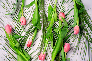 Spring flower pink tulips