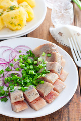 Homemade salted herring cut into pieces on a plate with green and salad onions, selective focus