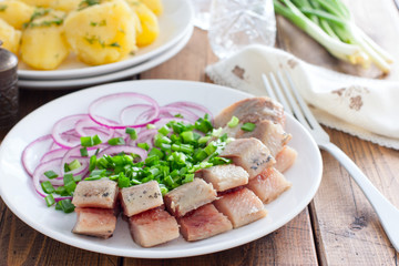Homemade salted herring cut into pieces on a plate with green and salad onions, selective focus