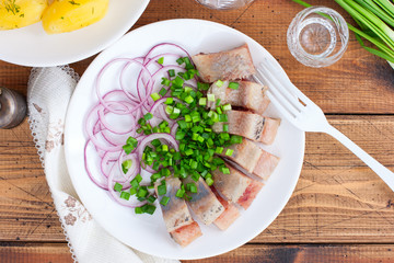 Homemade salted herring cut into pieces on a plate with green and salad onions, selective focus