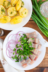 Homemade salted herring cut into pieces on a plate with green and salad onions, selective focus