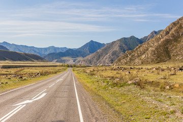 Summer in Altai Russia, road to Altai Mountains, Beautiful summer viewof Altai mountains.
