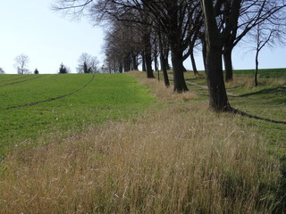Landschaft im Frühling