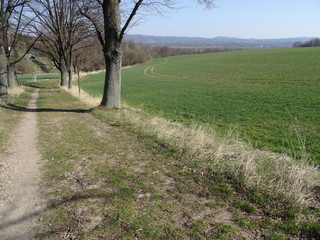 Landschaft im Frühling