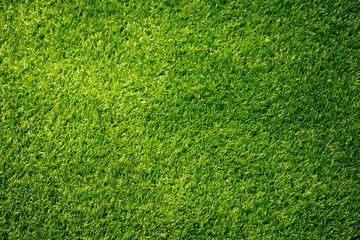 Obraz premium Background of green grass.