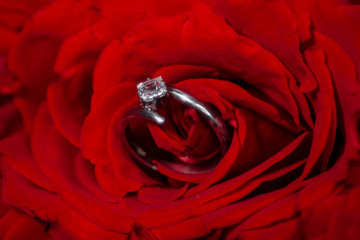 Close-up of a diamond ring lies in a rose flower. Concept art of a wedding gift.