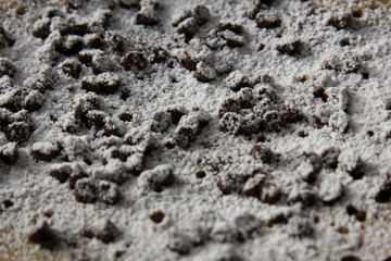 dolce al cioccolato