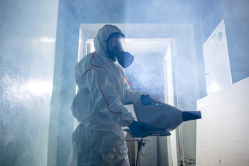 Mold Removal 