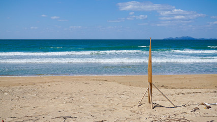 海岸に打ち上げられた流木