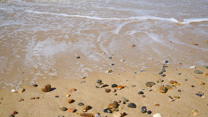 波打ち際の小石と貝